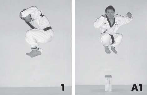 Иллюстрация к книге — Выживают сильнейшие. Физическая подготовка в практике боевых искусств и единоборств [i_073.jpg]