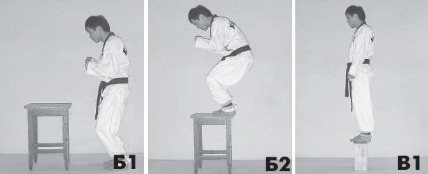 Иллюстрация к книге — Выживают сильнейшие. Физическая подготовка в практике боевых искусств и единоборств [i_074.jpg]