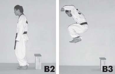 Иллюстрация к книге — Выживают сильнейшие. Физическая подготовка в практике боевых искусств и единоборств [i_075.jpg]