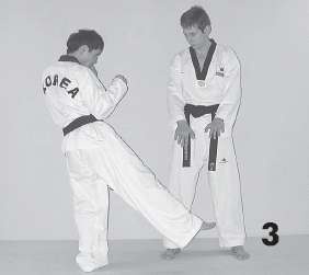 Иллюстрация к книге — Выживают сильнейшие. Физическая подготовка в практике боевых искусств и единоборств [i_078.jpg]