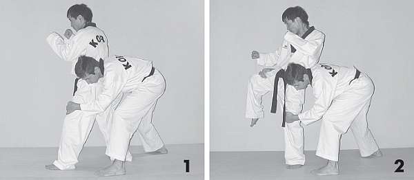 Иллюстрация к книге — Выживают сильнейшие. Физическая подготовка в практике боевых искусств и единоборств [i_084.jpg]