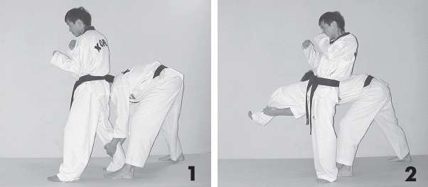 Иллюстрация к книге — Выживают сильнейшие. Физическая подготовка в практике боевых искусств и единоборств [i_089.jpg]