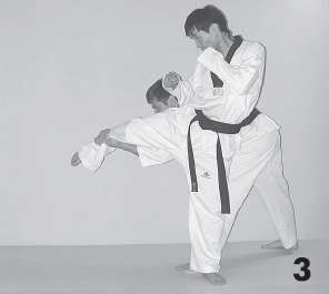 Иллюстрация к книге — Выживают сильнейшие. Физическая подготовка в практике боевых искусств и единоборств [i_090.jpg]