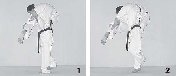 Иллюстрация к книге — Выживают сильнейшие. Физическая подготовка в практике боевых искусств и единоборств [i_092.jpg]