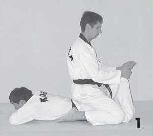 Иллюстрация к книге — Выживают сильнейшие. Физическая подготовка в практике боевых искусств и единоборств [i_094.jpg]