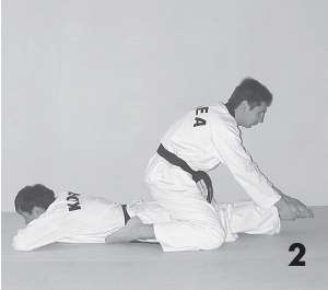 Иллюстрация к книге — Выживают сильнейшие. Физическая подготовка в практике боевых искусств и единоборств [i_095.jpg]