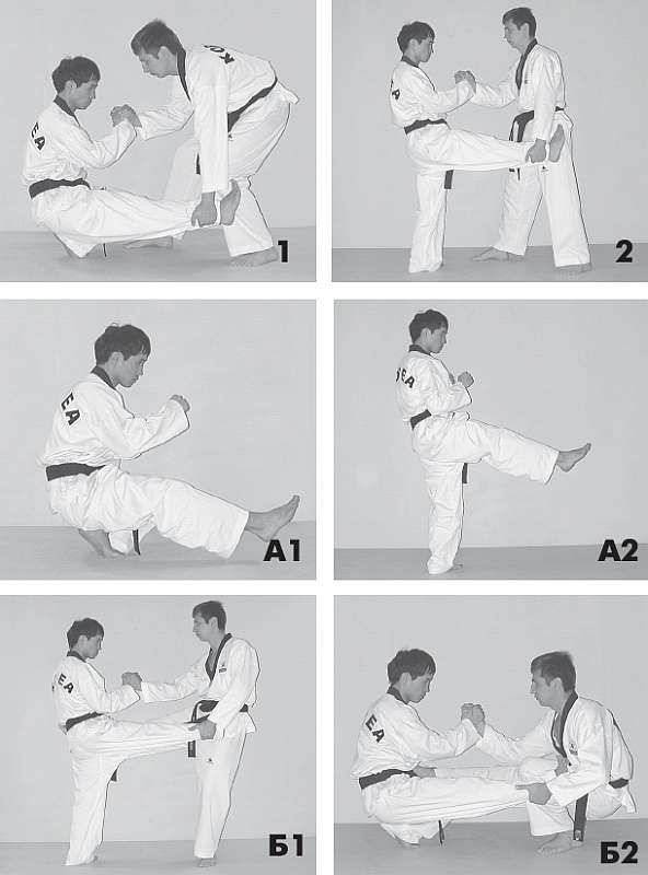 Иллюстрация к книге — Выживают сильнейшие. Физическая подготовка в практике боевых искусств и единоборств [i_096.jpg]