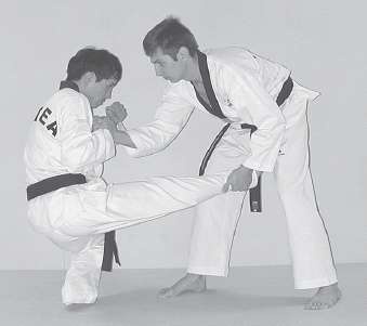 Иллюстрация к книге — Выживают сильнейшие. Физическая подготовка в практике боевых искусств и единоборств [i_103.jpg]