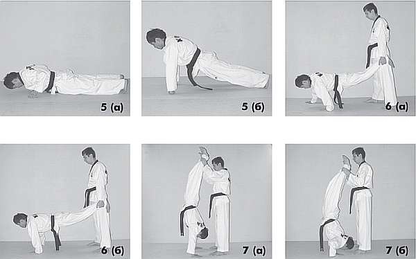 Иллюстрация к книге — Выживают сильнейшие. Физическая подготовка в практике боевых искусств и единоборств [i_108.jpg]