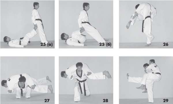 Иллюстрация к книге — Выживают сильнейшие. Физическая подготовка в практике боевых искусств и единоборств [i_114.jpg]