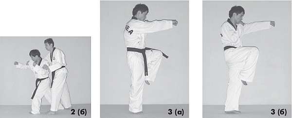 Иллюстрация к книге — Выживают сильнейшие. Физическая подготовка в практике боевых искусств и единоборств [i_116.jpg]