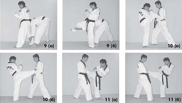 Иллюстрация к книге — Выживают сильнейшие. Физическая подготовка в практике боевых искусств и единоборств [i_125.jpg]