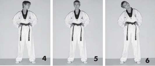 Иллюстрация к книге — Выживают сильнейшие. Физическая подготовка в практике боевых искусств и единоборств [i_133.jpg]