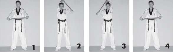 Иллюстрация к книге — Выживают сильнейшие. Физическая подготовка в практике боевых искусств и единоборств [i_153.jpg]