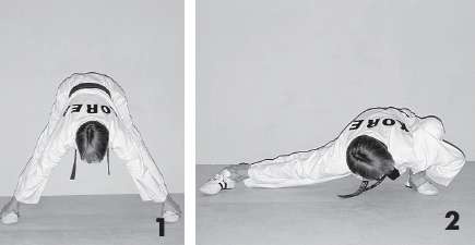 Иллюстрация к книге — Выживают сильнейшие. Физическая подготовка в практике боевых искусств и единоборств [i_158.jpg]