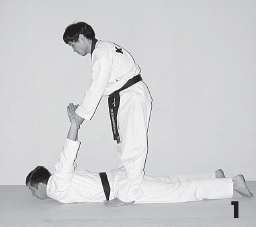 Иллюстрация к книге — Выживают сильнейшие. Физическая подготовка в практике боевых искусств и единоборств [i_163.jpg]