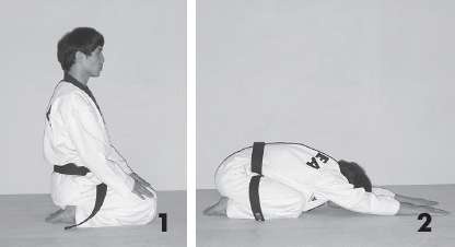 Иллюстрация к книге — Выживают сильнейшие. Физическая подготовка в практике боевых искусств и единоборств [i_178.jpg]