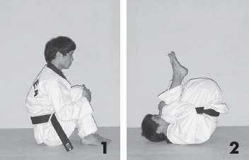 Иллюстрация к книге — Выживают сильнейшие. Физическая подготовка в практике боевых искусств и единоборств [i_179.jpg]