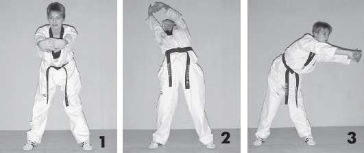 Иллюстрация к книге — Выживают сильнейшие. Физическая подготовка в практике боевых искусств и единоборств [i_183.jpg]