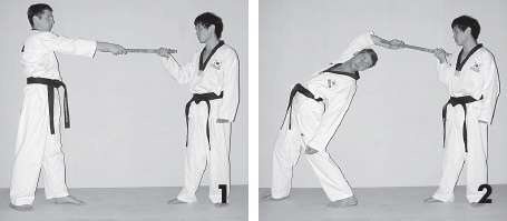 Иллюстрация к книге — Выживают сильнейшие. Физическая подготовка в практике боевых искусств и единоборств [i_184.jpg]