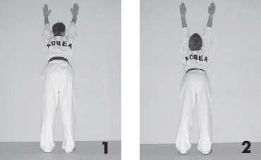 Иллюстрация к книге — Выживают сильнейшие. Физическая подготовка в практике боевых искусств и единоборств [i_189.jpg]