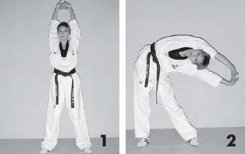 Иллюстрация к книге — Выживают сильнейшие. Физическая подготовка в практике боевых искусств и единоборств [i_193.jpg]