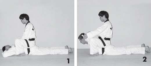 Иллюстрация к книге — Выживают сильнейшие. Физическая подготовка в практике боевых искусств и единоборств [i_196.jpg]