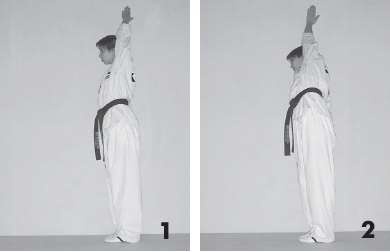 Иллюстрация к книге — Выживают сильнейшие. Физическая подготовка в практике боевых искусств и единоборств [i_198.jpg]