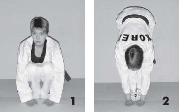 Иллюстрация к книге — Выживают сильнейшие. Физическая подготовка в практике боевых искусств и единоборств [i_201.jpg]