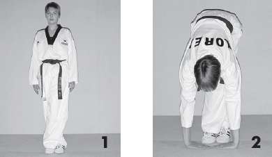 Иллюстрация к книге — Выживают сильнейшие. Физическая подготовка в практике боевых искусств и единоборств [i_202.jpg]