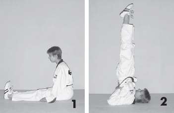 Иллюстрация к книге — Выживают сильнейшие. Физическая подготовка в практике боевых искусств и единоборств [i_203.jpg]