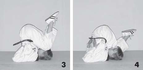 Иллюстрация к книге — Выживают сильнейшие. Физическая подготовка в практике боевых искусств и единоборств [i_204.jpg]