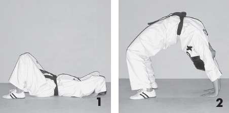 Иллюстрация к книге — Выживают сильнейшие. Физическая подготовка в практике боевых искусств и единоборств [i_206.jpg]