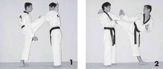 Иллюстрация к книге — Выживают сильнейшие. Физическая подготовка в практике боевых искусств и единоборств [i_211.jpg]