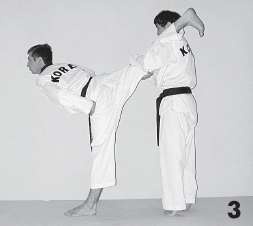 Иллюстрация к книге — Выживают сильнейшие. Физическая подготовка в практике боевых искусств и единоборств [i_212.jpg]