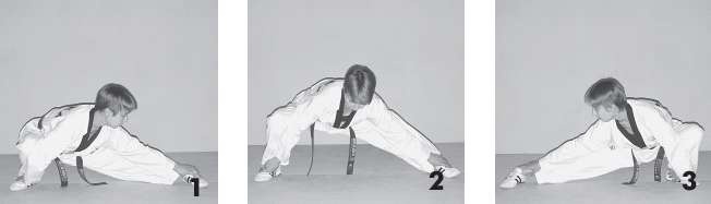 Иллюстрация к книге — Выживают сильнейшие. Физическая подготовка в практике боевых искусств и единоборств [i_214.jpg]