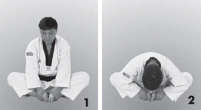 Иллюстрация к книге — Выживают сильнейшие. Физическая подготовка в практике боевых искусств и единоборств [i_215.jpg]