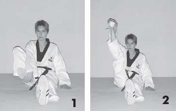 Иллюстрация к книге — Выживают сильнейшие. Физическая подготовка в практике боевых искусств и единоборств [i_216.jpg]