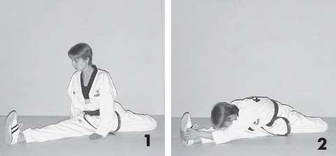 Иллюстрация к книге — Выживают сильнейшие. Физическая подготовка в практике боевых искусств и единоборств [i_219.jpg]