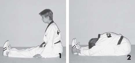 Иллюстрация к книге — Выживают сильнейшие. Физическая подготовка в практике боевых искусств и единоборств [i_223.jpg]