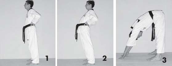 Иллюстрация к книге — Выживают сильнейшие. Физическая подготовка в практике боевых искусств и единоборств [i_225.jpg]