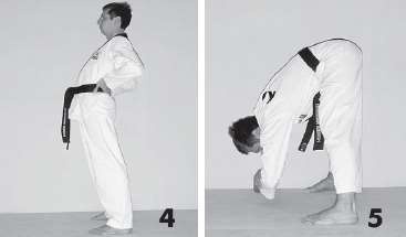 Иллюстрация к книге — Выживают сильнейшие. Физическая подготовка в практике боевых искусств и единоборств [i_226.jpg]