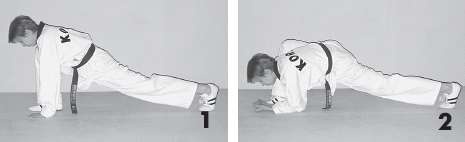 Иллюстрация к книге — Выживают сильнейшие. Физическая подготовка в практике боевых искусств и единоборств [i_229.jpg]