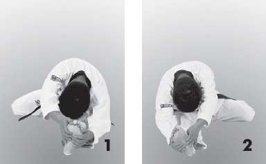 Иллюстрация к книге — Выживают сильнейшие. Физическая подготовка в практике боевых искусств и единоборств [i_231.jpg]