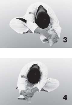 Иллюстрация к книге — Выживают сильнейшие. Физическая подготовка в практике боевых искусств и единоборств [i_232.jpg]