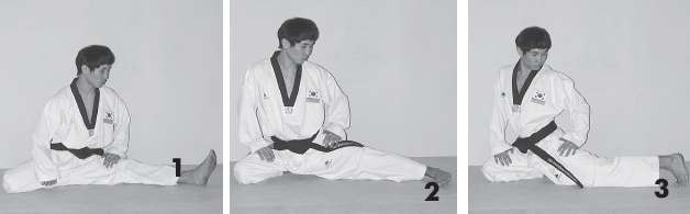 Иллюстрация к книге — Выживают сильнейшие. Физическая подготовка в практике боевых искусств и единоборств [i_233.jpg]