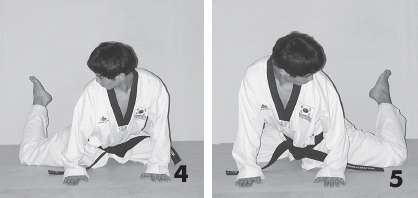 Иллюстрация к книге — Выживают сильнейшие. Физическая подготовка в практике боевых искусств и единоборств [i_234.jpg]