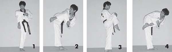 Иллюстрация к книге — Выживают сильнейшие. Физическая подготовка в практике боевых искусств и единоборств [i_235.jpg]