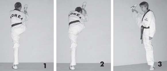 Иллюстрация к книге — Выживают сильнейшие. Физическая подготовка в практике боевых искусств и единоборств [i_237.jpg]