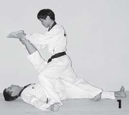 Иллюстрация к книге — Выживают сильнейшие. Физическая подготовка в практике боевых искусств и единоборств [i_240.jpg]